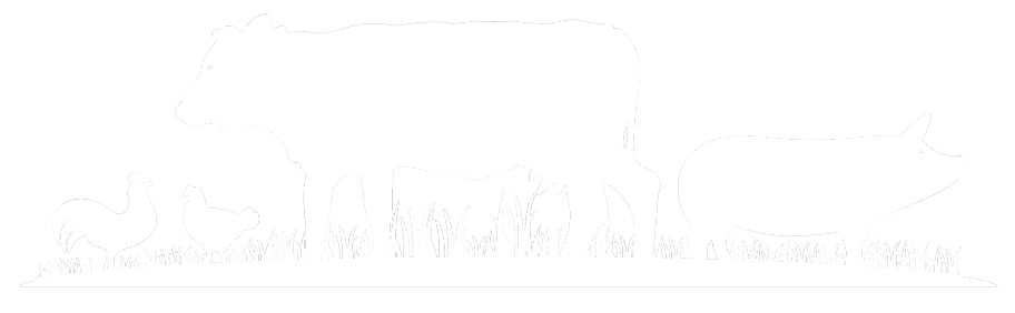 farm-meat-illustration