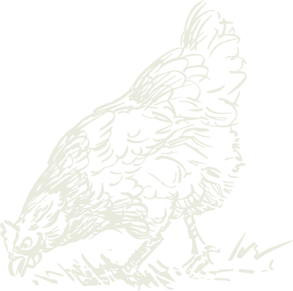 chicken