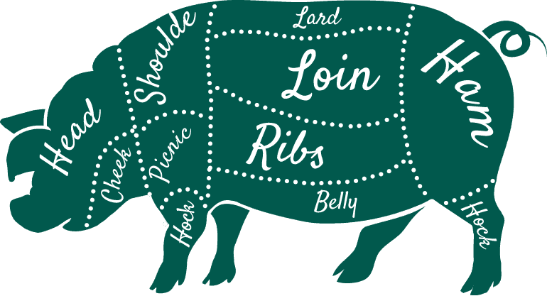 pig