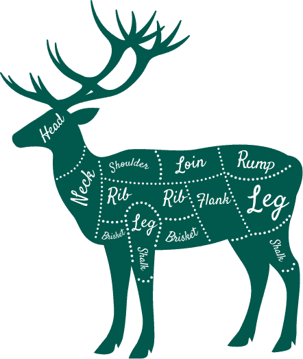 deer